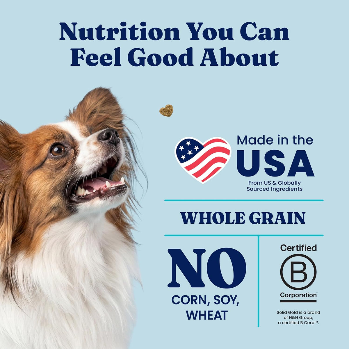 Solid Gold Small Breed Lamb Dry Dog Food, Grain Free, Small Bites, 3.75LB