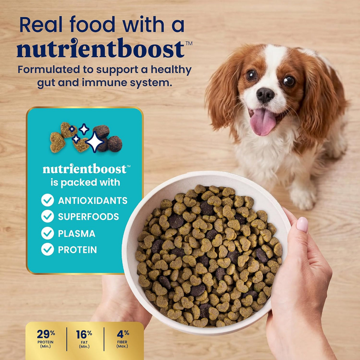 Solid Gold Small Breed Lamb Dry Dog Food, Grain Free, Small Bites, 3.75LB
