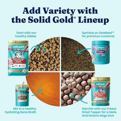 Solid Gold Small Breed Lamb Dry Dog Food, Grain Free, Small Bites, 3.75LB