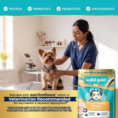 Solid Gold Small Breed Lamb Dry Dog Food, Grain Free, Small Bites, 3.75LB