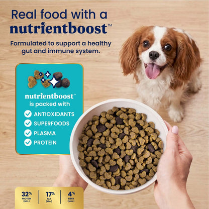 Solid Gold Small Breed Lamb Dry Dog Food, Grain Free, Small Bites, 3.75LB