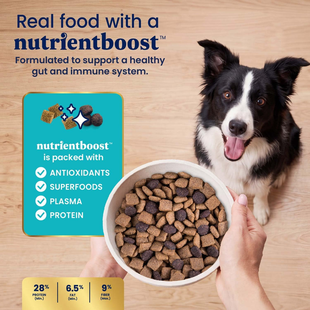 Solid Gold Small Breed Lamb Dry Dog Food, Grain Free, Small Bites, 3.75LB