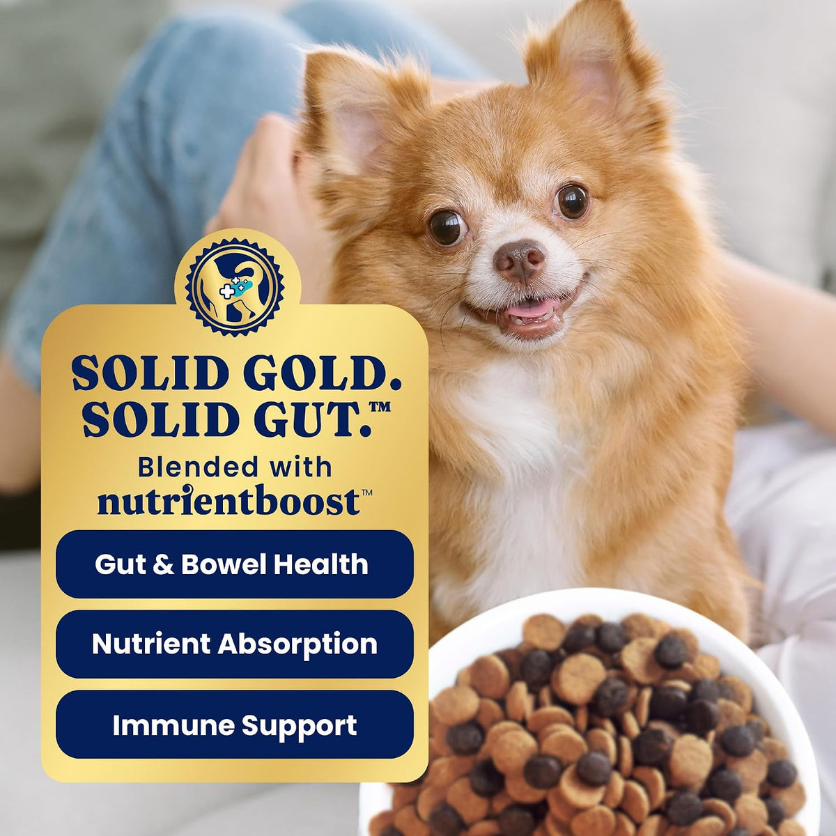 Solid Gold Small Breed Lamb Dry Dog Food, Grain Free, Small Bites, 3.75LB