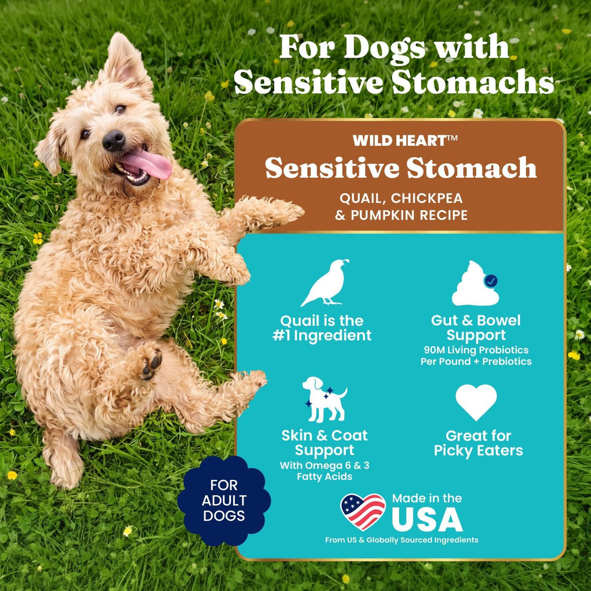Solid Gold Small Breed Lamb Dry Dog Food, Grain Free, Small Bites, 3.75LB