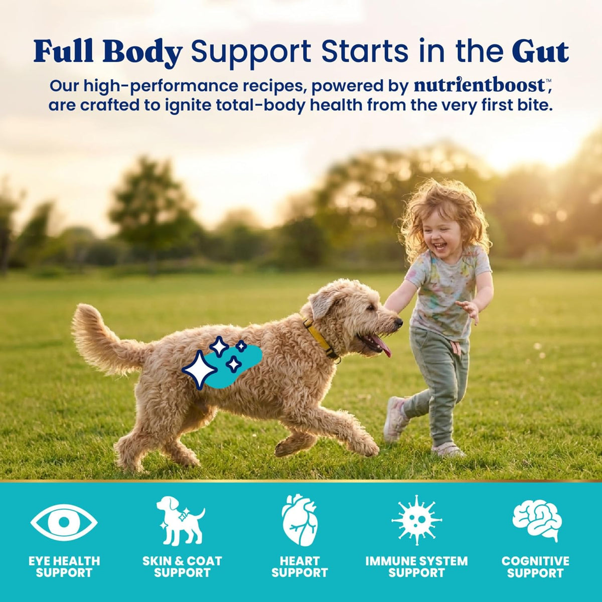 Solid Gold Small Breed Lamb Dry Dog Food, Grain Free, Small Bites, 3.75LB