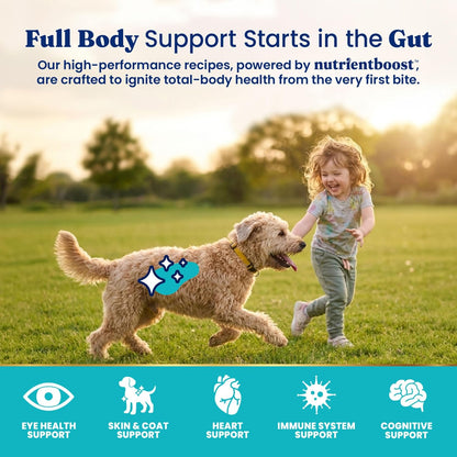 Solid Gold Small Breed Lamb Dry Dog Food, Grain Free, Small Bites, 3.75LB