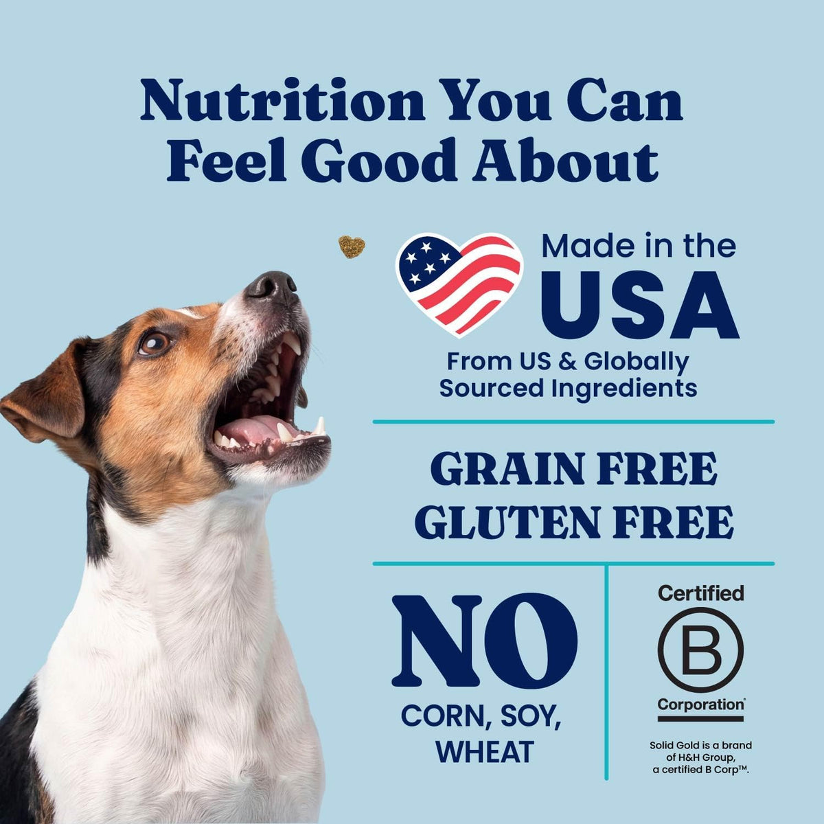 Solid Gold Small Breed Lamb Dry Dog Food, Grain Free, Small Bites, 3.75LB