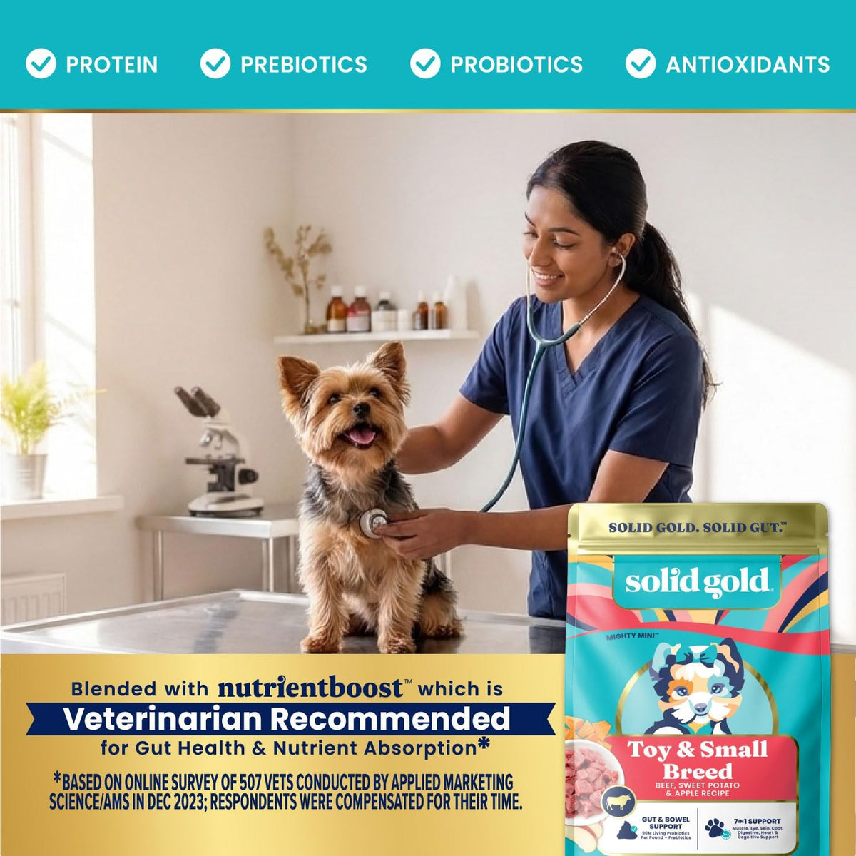 Solid Gold Small Breed Lamb Dry Dog Food, Grain Free, Small Bites, 3.75LB