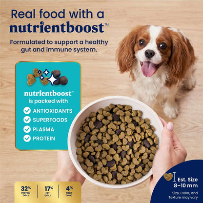 Solid Gold Small Breed Lamb Dry Dog Food, Grain Free, Small Bites, 3.75LB