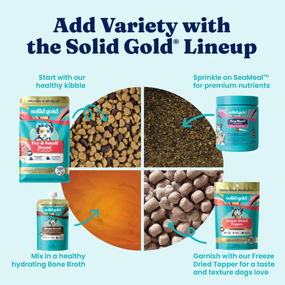 Solid Gold Small Breed Lamb Dry Dog Food, Grain Free, Small Bites, 3.75LB