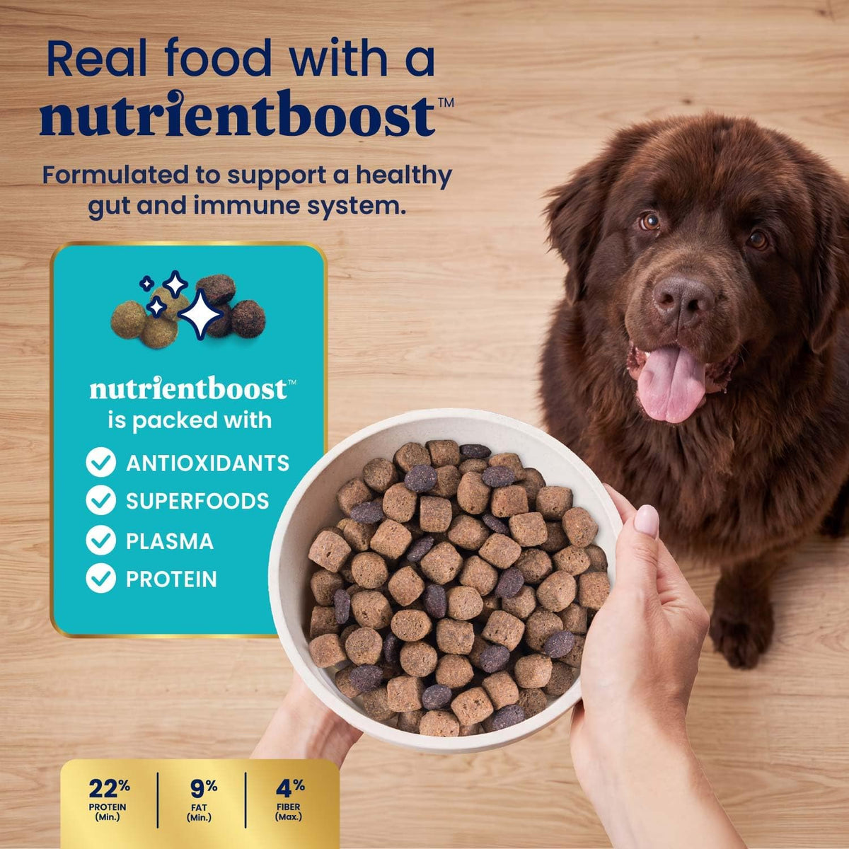 Solid Gold Small Breed Lamb Dry Dog Food, Grain Free, Small Bites, 3.75LB