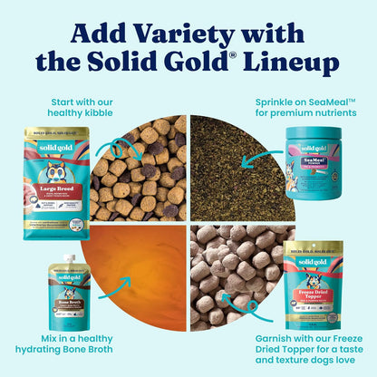 Solid Gold Small Breed Lamb Dry Dog Food, Grain Free, Small Bites, 3.75LB