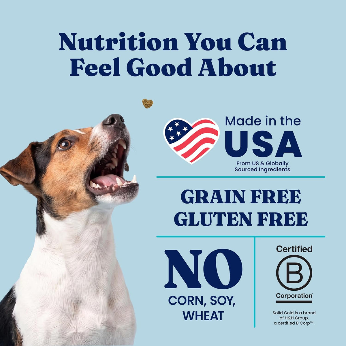 Solid Gold Small Breed Lamb Dry Dog Food, Grain Free, Small Bites, 3.75LB