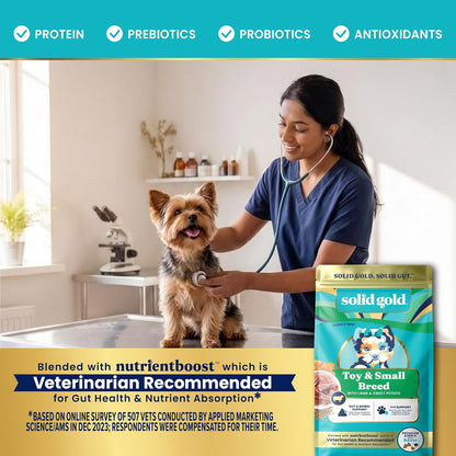 Solid Gold Small Breed Lamb Dry Dog Food, Grain Free, Small Bites, 3.75LB