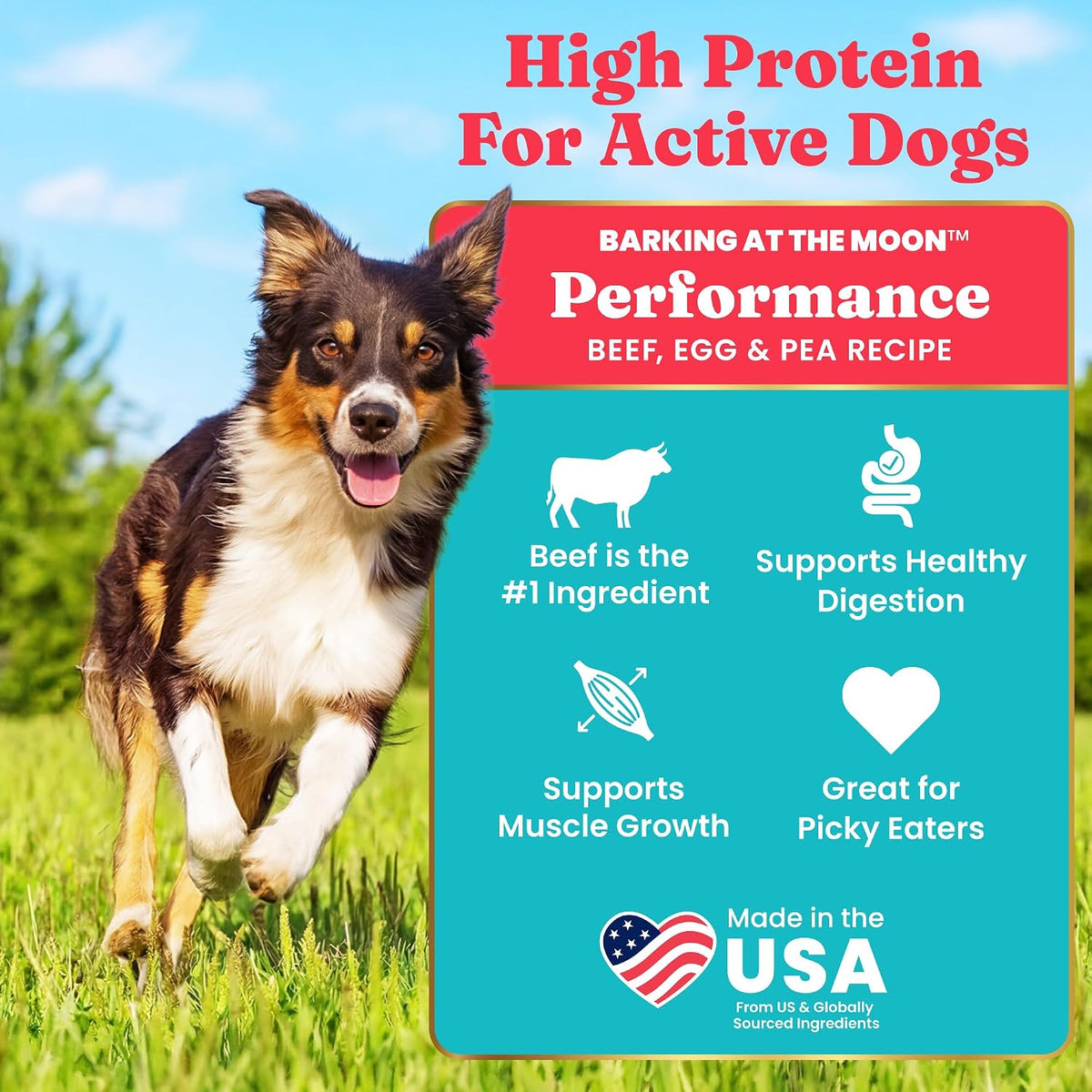 Solid Gold Small Breed Lamb Dry Dog Food, Grain Free, Small Bites, 3.75LB