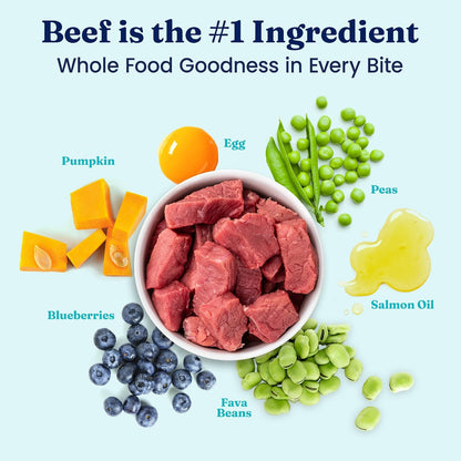 Solid Gold Small Breed Lamb Dry Dog Food, Grain Free, Small Bites, 3.75LB