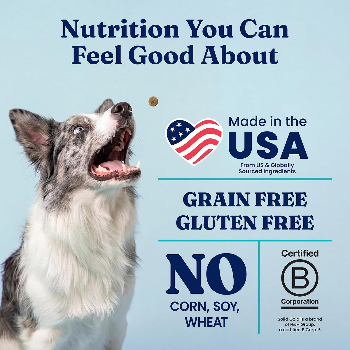 Solid Gold Small Breed Lamb Dry Dog Food, Grain Free, Small Bites, 3.75LB