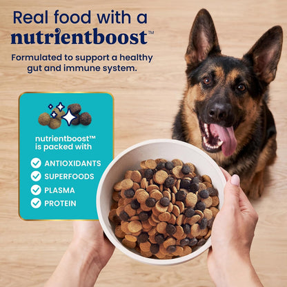Solid Gold Small Breed Lamb Dry Dog Food, Grain Free, Small Bites, 3.75LB