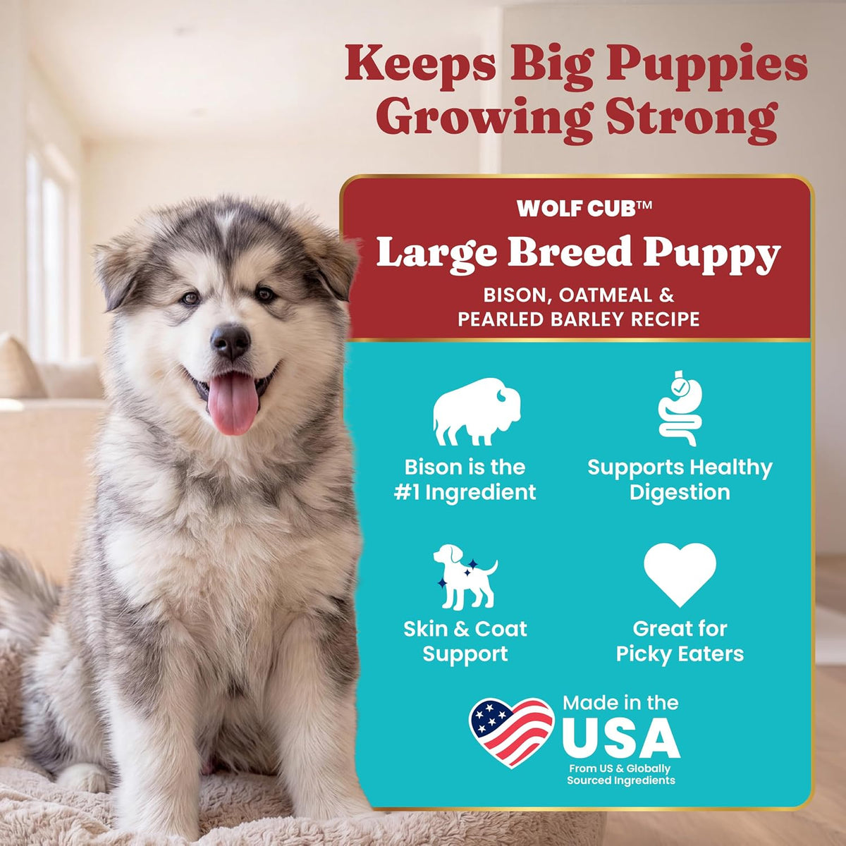 Solid Gold Small Breed Lamb Dry Dog Food, Grain Free, Small Bites, 3.75LB