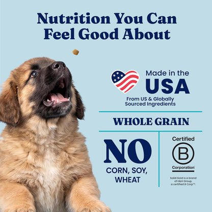 Solid Gold Small Breed Lamb Dry Dog Food, Grain Free, Small Bites, 3.75LB