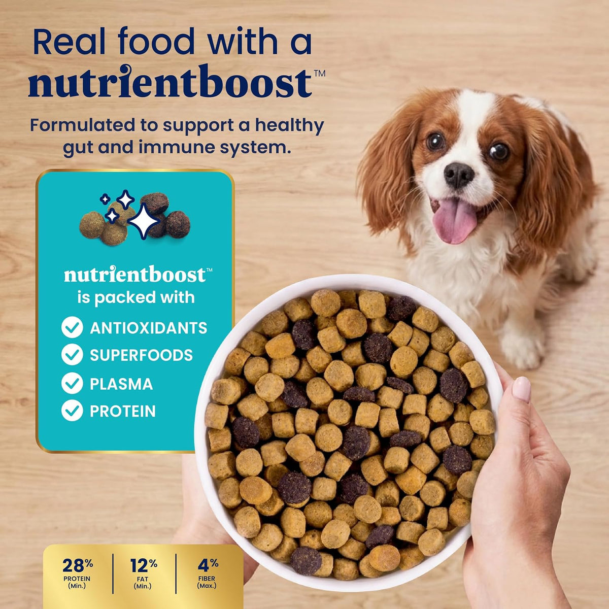 Solid Gold Small Breed Lamb Dry Dog Food, Grain Free, Small Bites, 3.75LB