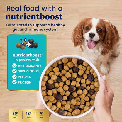Solid Gold Small Breed Lamb Dry Dog Food, Grain Free, Small Bites, 3.75LB