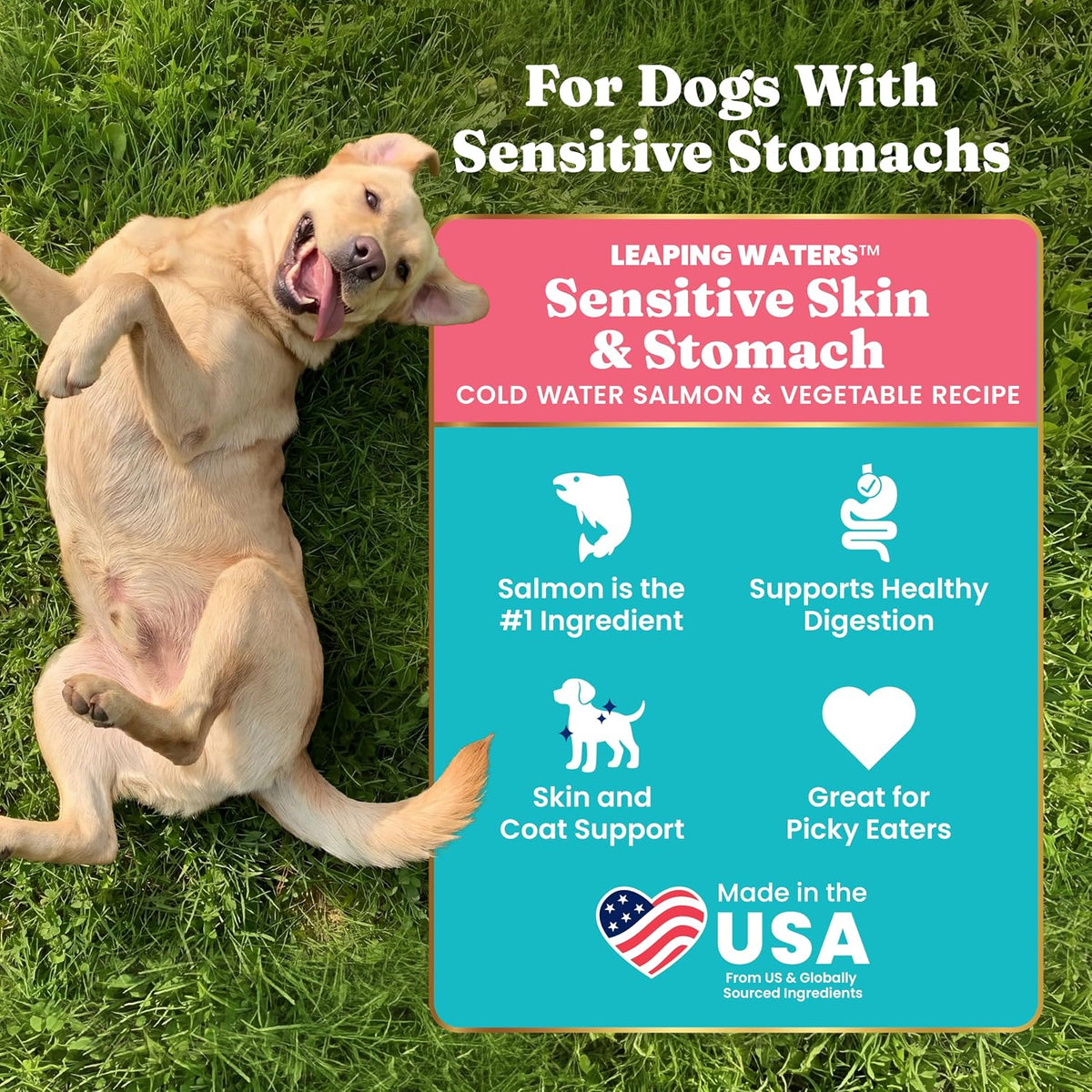 Solid Gold Small Breed Lamb Dry Dog Food, Grain Free, Small Bites, 3.75LB