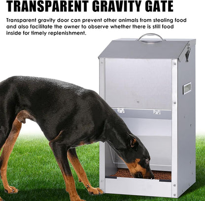 Automatic Dog Feeder Large Breed Outdoor, Stainless Steel Material