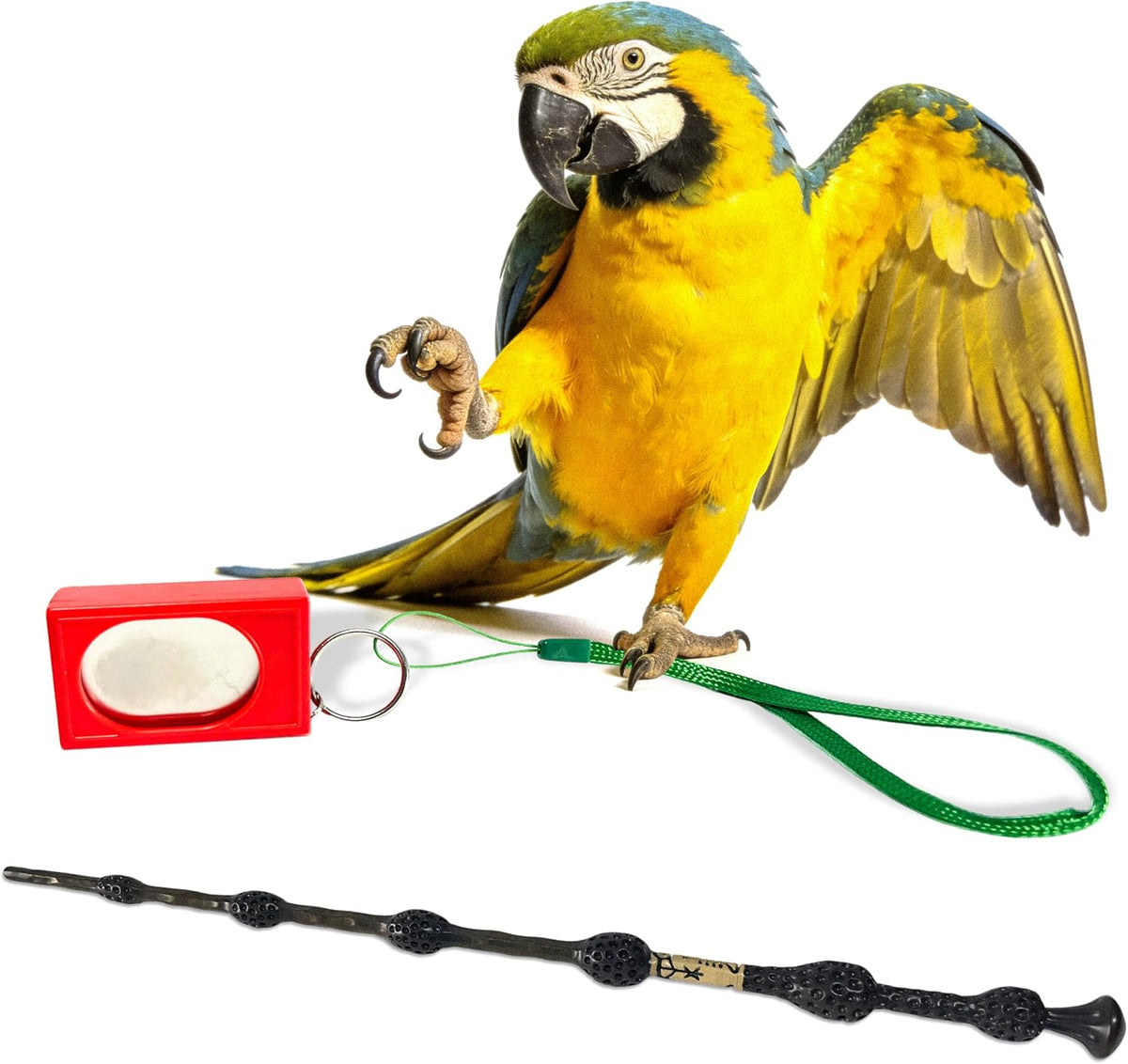 Parrot Training Clicker with Target Stick, Getting Started Bird Clicker Training Kit, All Bird Breeds Training Stick Foster Discipline and Behavior Training, for Parrots Birds Lovers