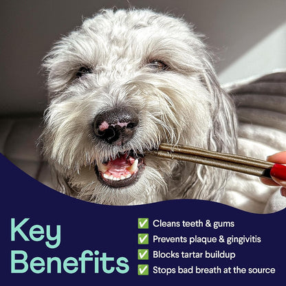 Plaque Patrol Dental Chews - Fights Tartar & Bad Breath - Dogs 25+ lbs