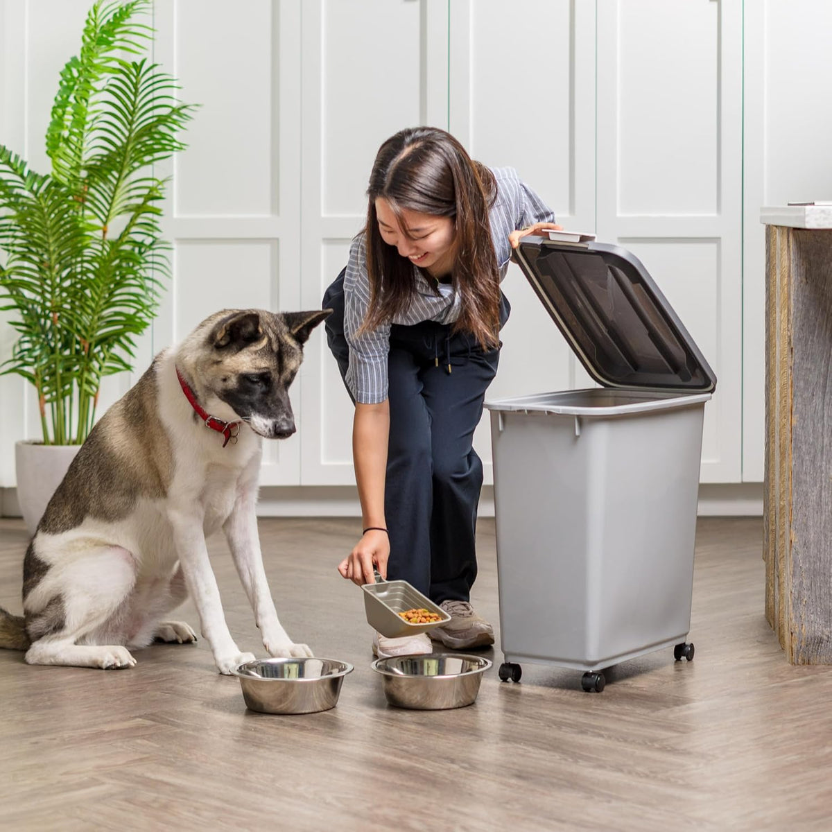 Dog Food Storage Container, Up to 40 lbs, Gray/Dark Gray