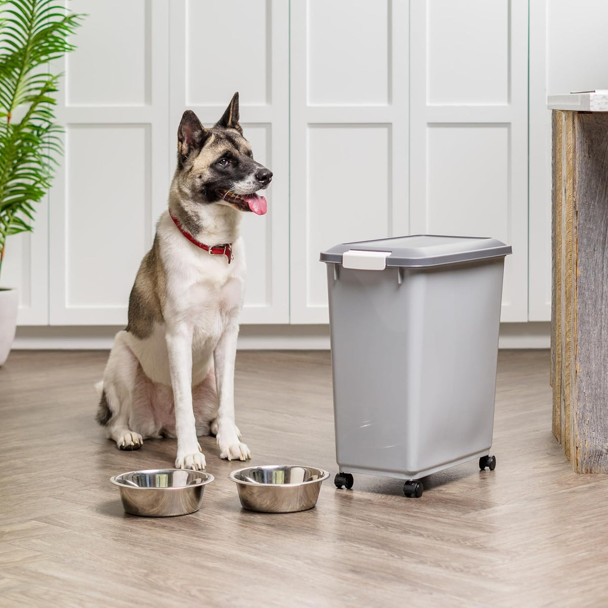 Dog Food Storage Container, Up to 40 lbs, Gray/Dark Gray