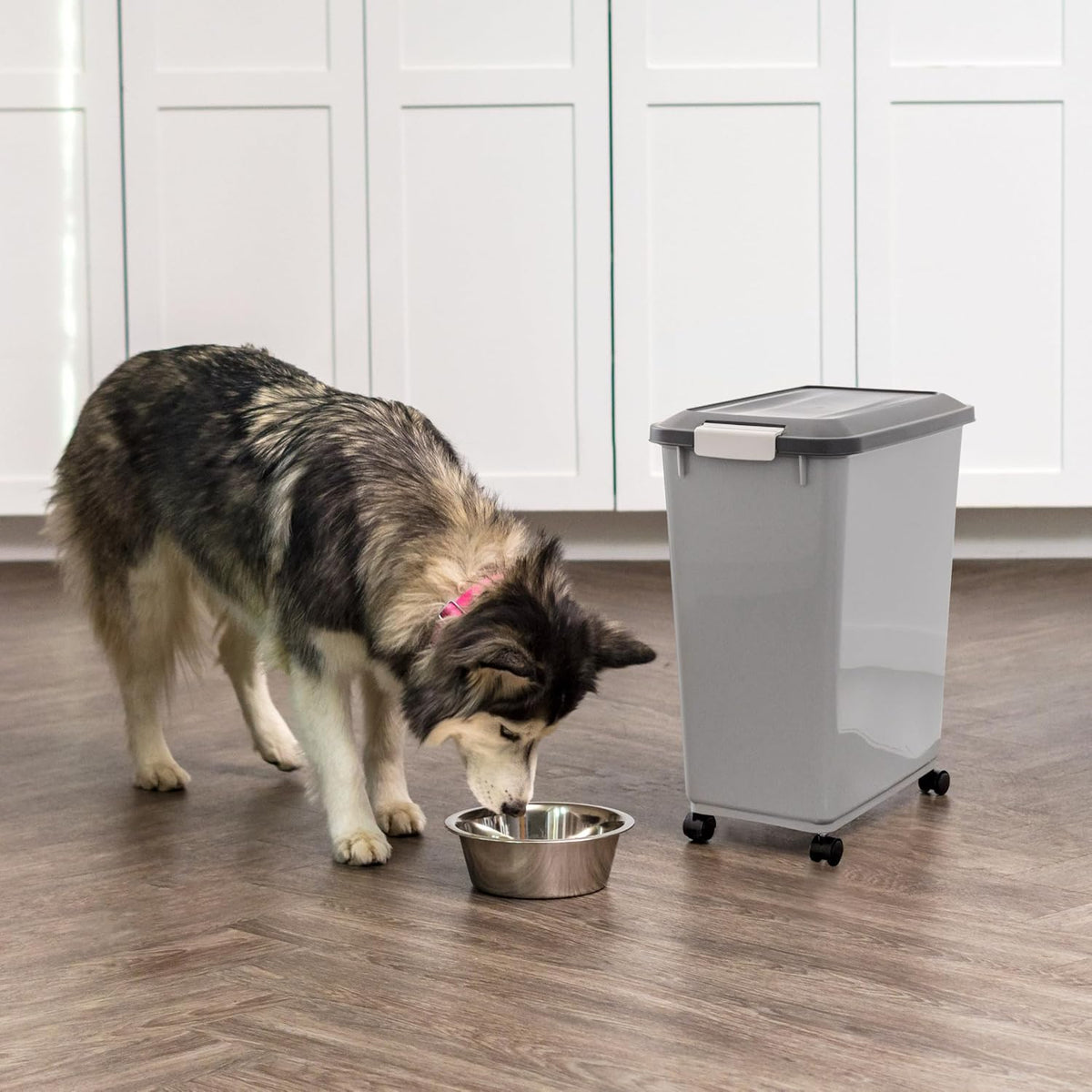 Dog Food Storage Container, Up to 40 lbs, Gray/Dark Gray