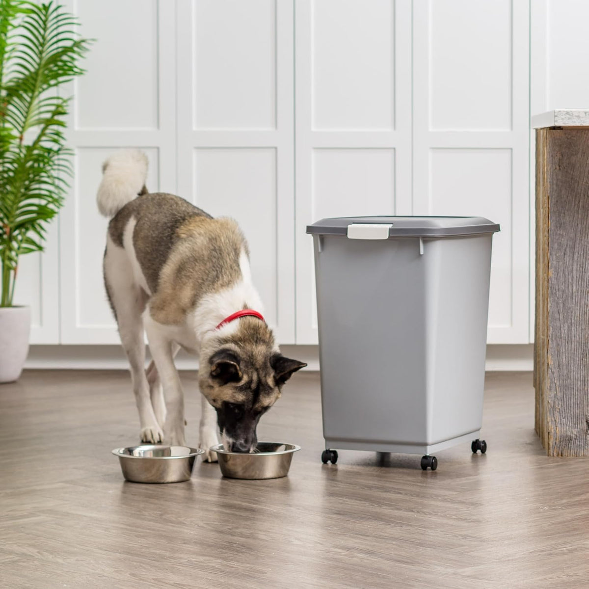 Dog Food Storage Container, Up to 40 lbs, Gray/Dark Gray