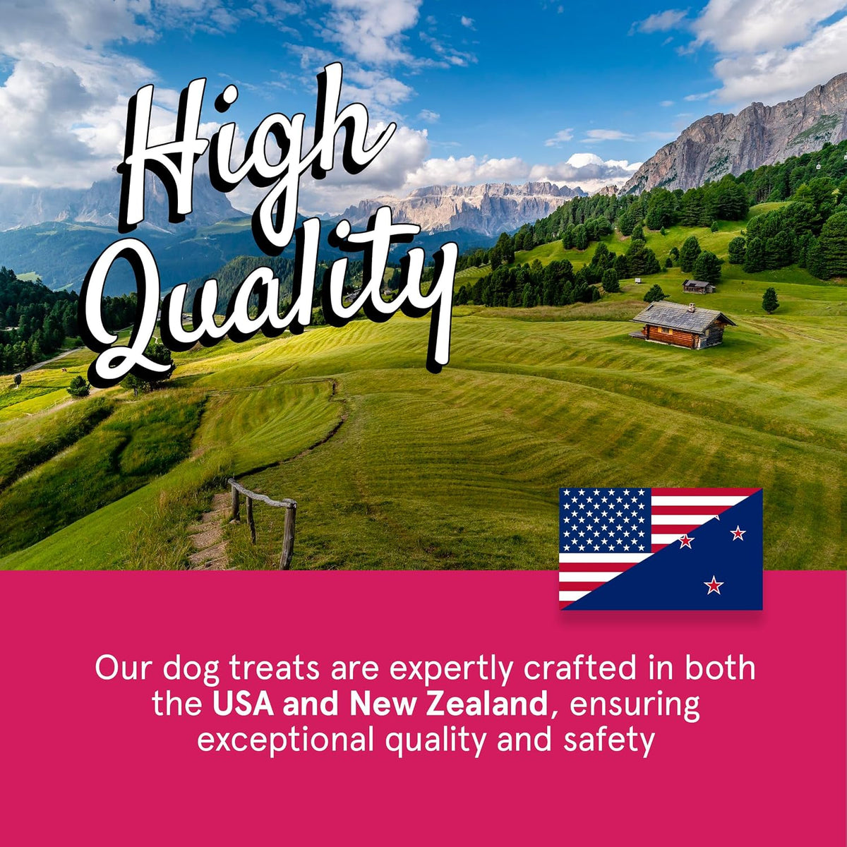 TRMC Real Meat Dog Treats - 12oz Bag of Bite-Sized Air-Dried Beef Jerky for Dogs - Grain-Free Jerky Dog Treats Made up of 95% Free-Range, Grass Fed Beef - All-Natural High Protein Dog Treats