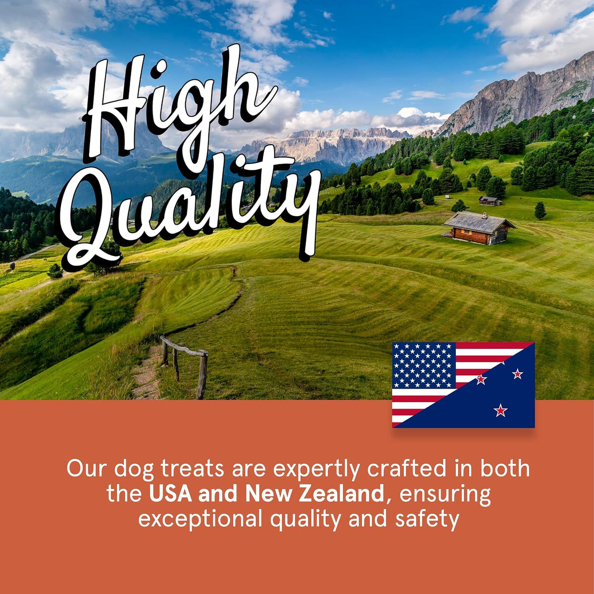 TRMC Real Meat Dog Treats - 12oz Bag of Bite-Sized Air-Dried Beef Jerky for Dogs - Grain-Free Jerky Dog Treats Made up of 95% Free-Range, Grass Fed Beef - All-Natural High Protein Dog Treats