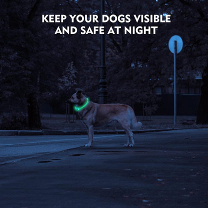LED Dog Collar, Cut-to-Fit Light Up Dog Collar for Night Walking, IP67 Waterproof USB Rechargeable Glowing Pet Collar, High Visibility Super Bright Safety Lights for S/M/L Dogs(Blue)