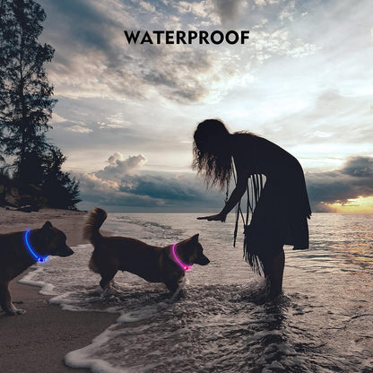 LED Dog Collar, Cut-to-Fit Light Up Dog Collar for Night Walking, IP67 Waterproof USB Rechargeable Glowing Pet Collar, High Visibility Super Bright Safety Lights for S/M/L Dogs(Blue)