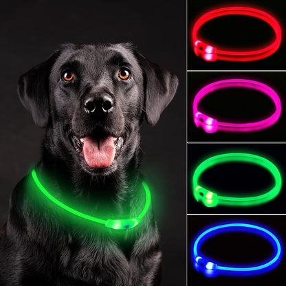 LED Dog Collar, Cut-to-Fit Light Up Dog Collar for Night Walking, IP67 Waterproof USB Rechargeable Glowing Pet Collar, High Visibility Super Bright Safety Lights for S/M/L Dogs(Blue)