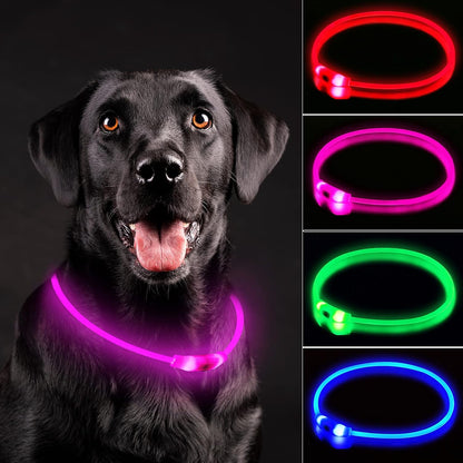 LED Dog Collar, Cut-to-Fit Light Up Dog Collar for Night Walking, IP67 Waterproof USB Rechargeable Glowing Pet Collar, High Visibility Super Bright Safety Lights for S/M/L Dogs(Blue)