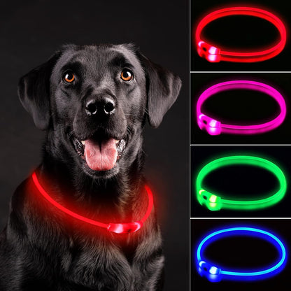 LED Dog Collar, Cut-to-Fit Light Up Dog Collar for Night Walking, IP67 Waterproof USB Rechargeable Glowing Pet Collar, High Visibility Super Bright Safety Lights for S/M/L Dogs(Blue)