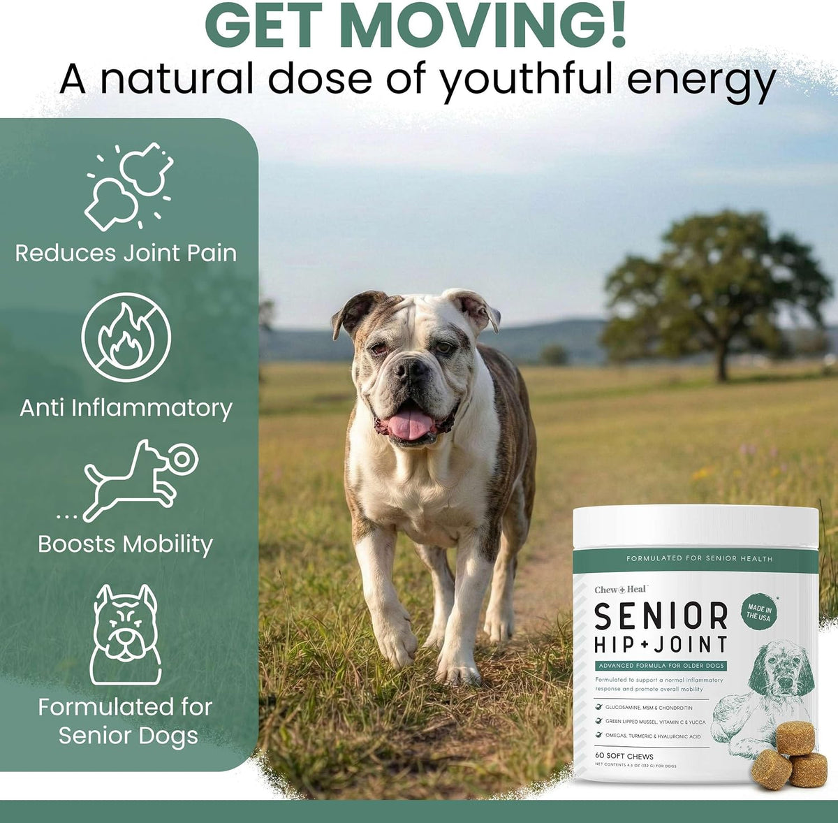 Glucosamine for Senior Dogs Hip and Joint Supplement, 60 Mobility Chews