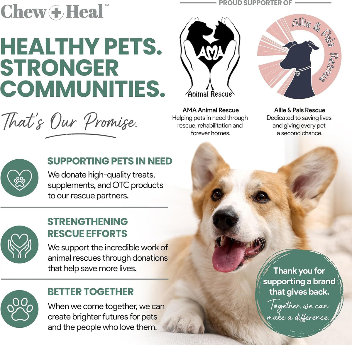 Glucosamine for Senior Dogs Hip and Joint Supplement, 60 Mobility Chews
