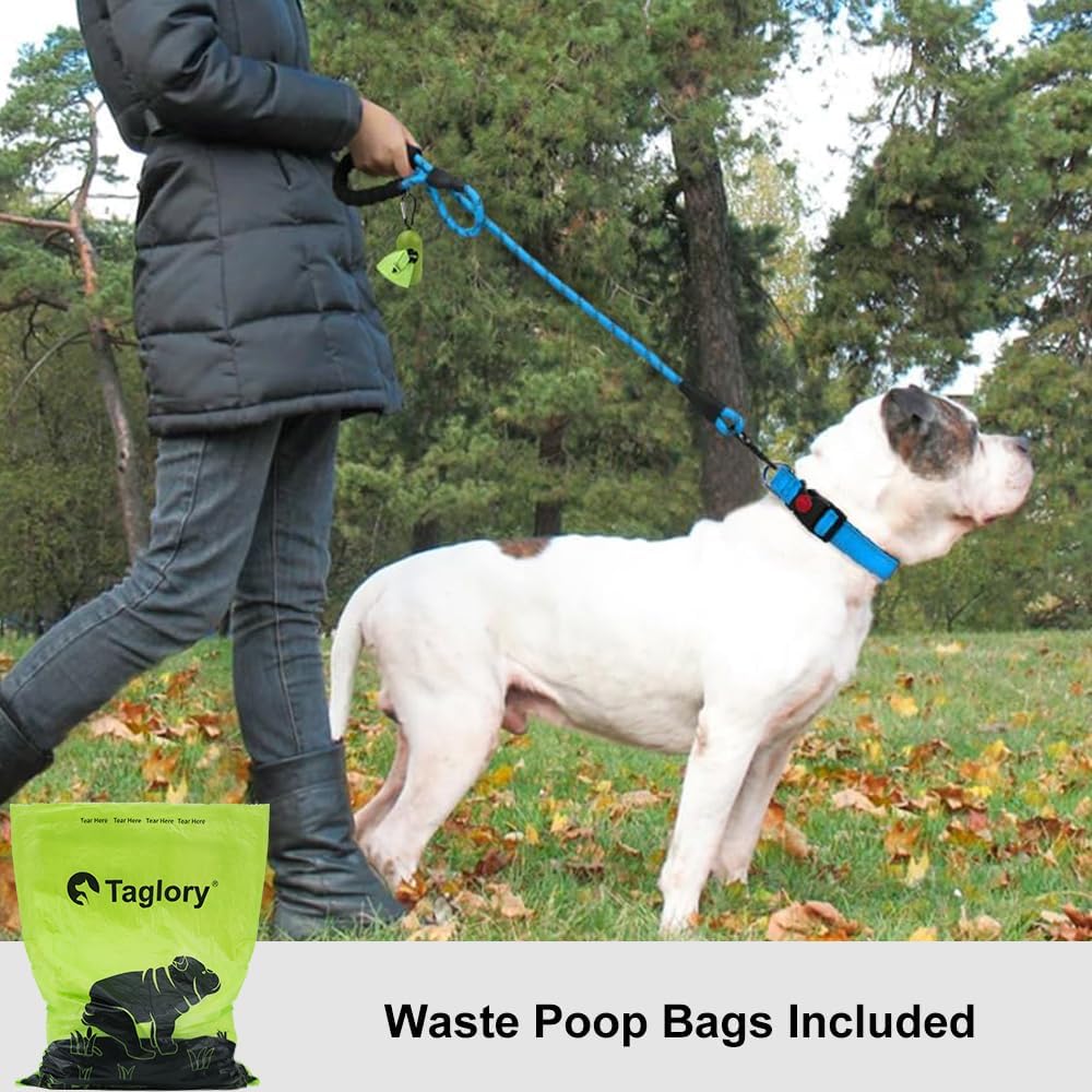 Rope Dog Leash for Medium Large Dogs, 6 FT Padded Handle, Black