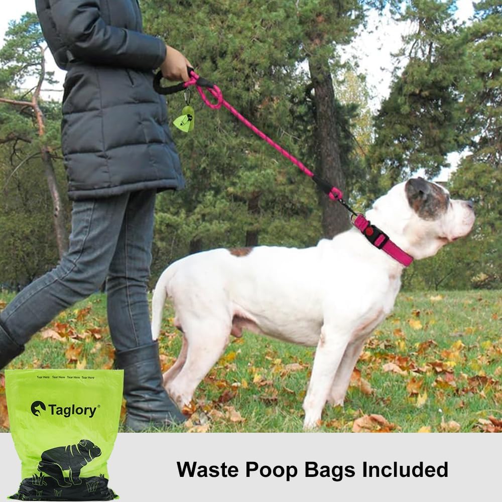 Rope Dog Leash for Medium Large Dogs, 6 FT Padded Handle, Black