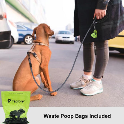 Rope Dog Leash for Medium Large Dogs, 6 FT Padded Handle, Black
