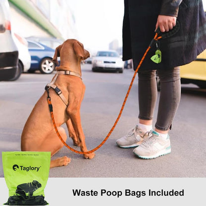Rope Dog Leash for Medium Large Dogs, 6 FT Padded Handle, Black