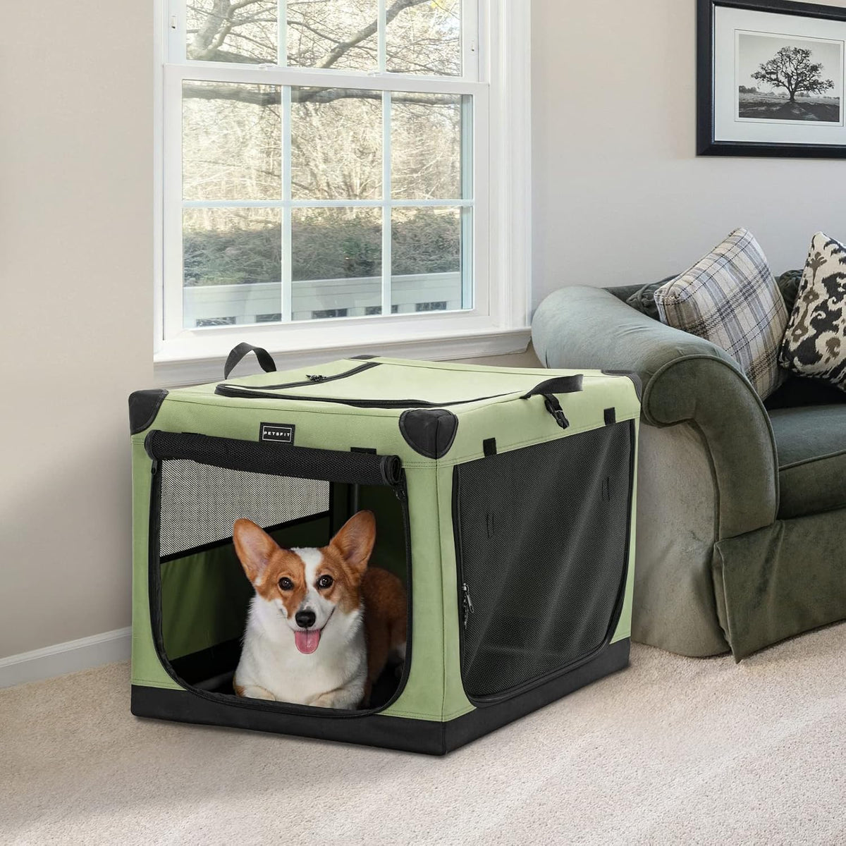 30" Soft Portable Dog Crate – Patented Spiral Sturdy Frame, Collapsible Travel Kennel for Medium Dogs, 3 Mesh Door, Lockable Zippers, Indoor & Car Use Green
