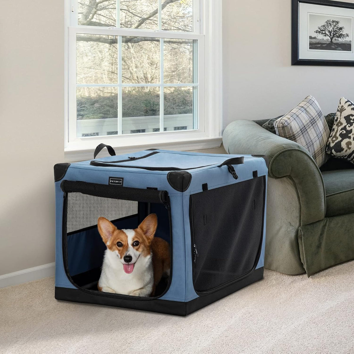 30" Soft Portable Dog Crate – Patented Spiral Sturdy Frame, Collapsible Travel Kennel for Medium Dogs, 3 Mesh Door, Lockable Zippers, Indoor & Car Use Green