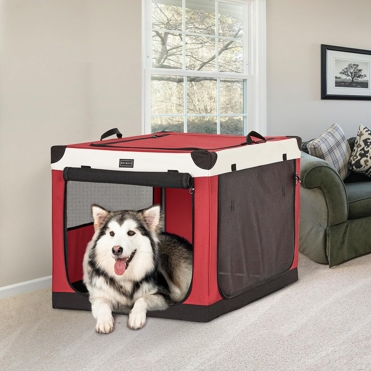30" Soft Portable Dog Crate – Patented Spiral Sturdy Frame, Collapsible Travel Kennel for Medium Dogs, 3 Mesh Door, Lockable Zippers, Indoor & Car Use Green